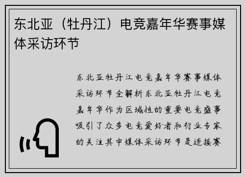 东北亚（牡丹江）电竞嘉年华赛事媒体采访环节